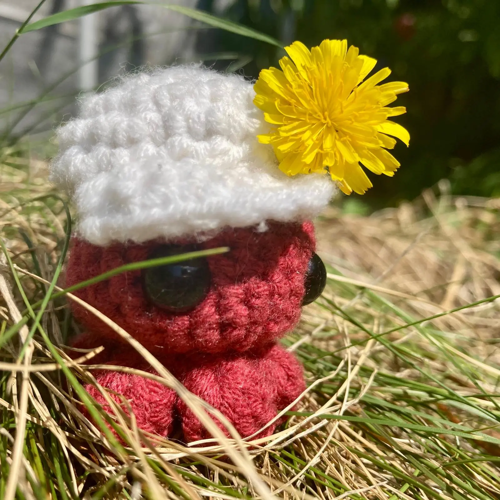 Miniature 5